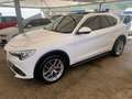Alfa Romeo Stelvio Stelvio executive Q4 210cv tetto full Bianco - thumbnail 1