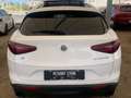 Alfa Romeo Stelvio Stelvio executive Q4 210cv tetto full Bianco - thumbnail 8
