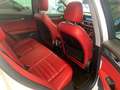 Alfa Romeo Stelvio Stelvio executive Q4 210cv tetto full Blanco - thumbnail 16