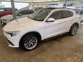 Alfa Romeo Stelvio Stelvio executive Q4 210cv tetto full Bianco - thumbnail 4