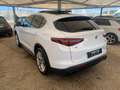 Alfa Romeo Stelvio Stelvio executive Q4 210cv tetto full Bianco - thumbnail 7