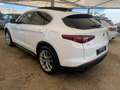 Alfa Romeo Stelvio Stelvio executive Q4 210cv tetto full Bianco - thumbnail 5