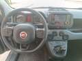 Fiat Panda 1.0 firefly hybrid City Life s&s 70cv 5p.ti Gris - thumbnail 6