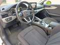 Audi A4 A4 Avant 30 2.0 tdi mhev Business 136cv s-tronic Wit - thumbnail 12