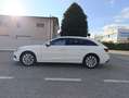Audi A4 A4 Avant 30 2.0 tdi mhev Business 136cv s-tronic Wit - thumbnail 6