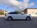 Audi A4 A4 Avant 30 2.0 tdi mhev Business 136cv s-tronic Wit - thumbnail 11