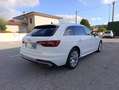 Audi A4 A4 Avant 30 2.0 tdi mhev Business 136cv s-tronic Wit - thumbnail 10