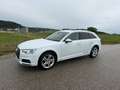 Audi A4 allroad A4 Allroad quattro 2,0 TDI quattro S-tronic Allroad Weiß - thumbnail 2
