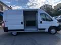Opel Movano Wit - thumbnail 15