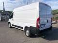 Opel Movano Wit - thumbnail 4