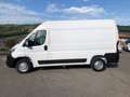Opel Movano Wit - thumbnail 3