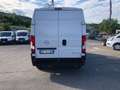 Opel Movano Wit - thumbnail 5