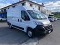 Opel Movano Wit - thumbnail 8