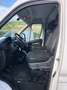 Opel Movano Wit - thumbnail 13