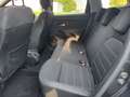 Dacia Duster 1.5 dCi 8V 110 CV 4x2 Comfort Grau - thumbnail 16