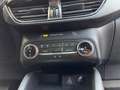Ford Kuga 2.5 Duratec FHEV ST-Line X 4x2 Aut. Gris - thumbnail 22