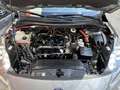 Ford Kuga 2.5 Duratec FHEV ST-Line X 4x2 Aut. Gris - thumbnail 9
