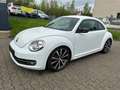 Volkswagen Beetle Sport 2.0 TSI*Automatik*Leder*Scheckheft Білий - thumbnail 1