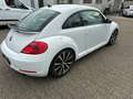 Volkswagen Beetle Sport 2.0 TSI*Automatik*Leder*Scheckheft White - thumbnail 3