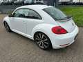 Volkswagen Beetle Sport 2.0 TSI*Automatik*Leder*Scheckheft White - thumbnail 4