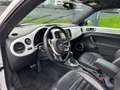 Volkswagen Beetle Sport 2.0 TSI*Automatik*Leder*Scheckheft Fehér - thumbnail 11