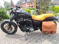 Harley-Davidson Sportster XL 883 N Iron Schwarz - thumbnail 6