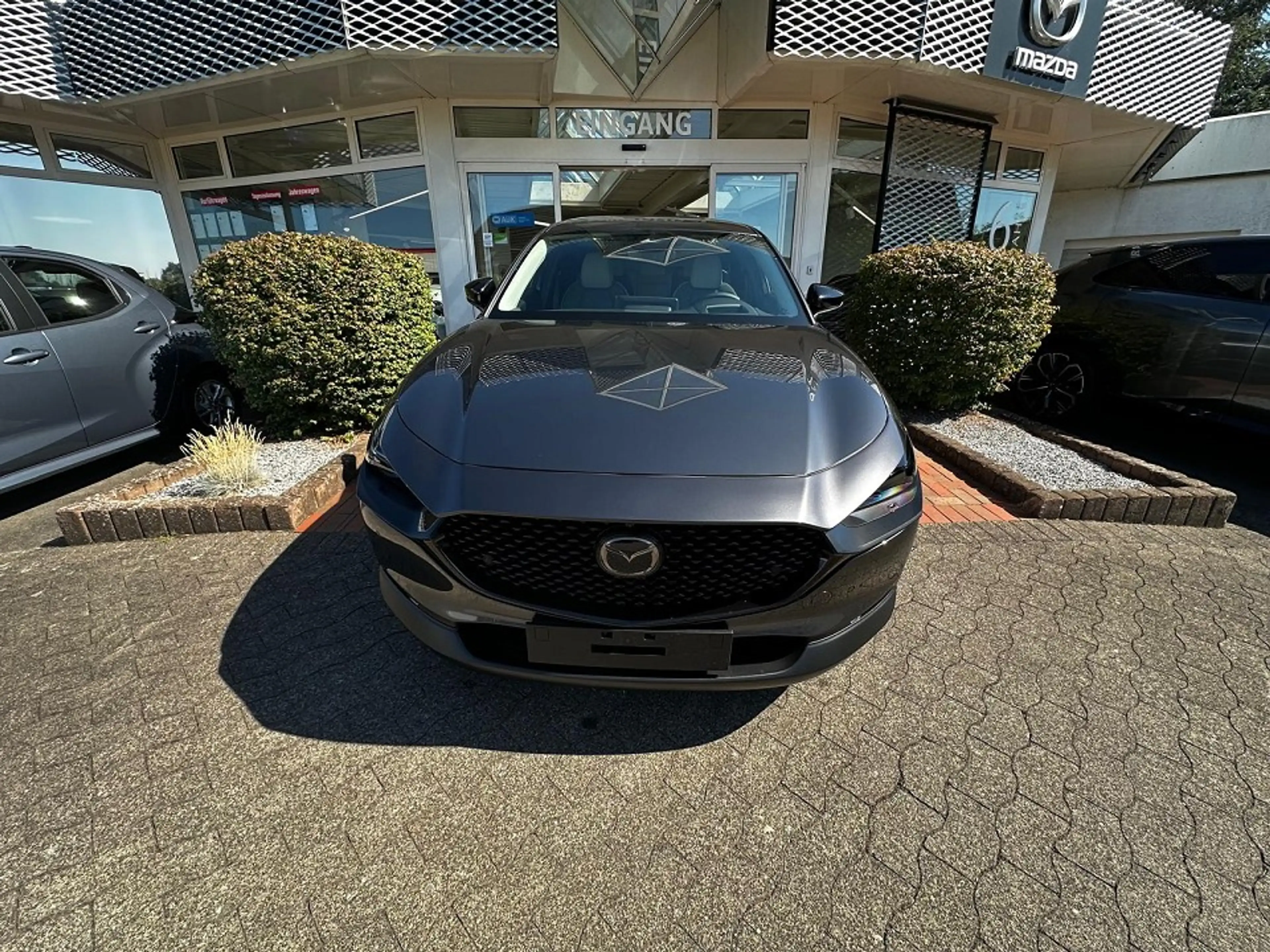 Mazda CX-30 2.5L e-SKYACTIV G Makoto — photo 3