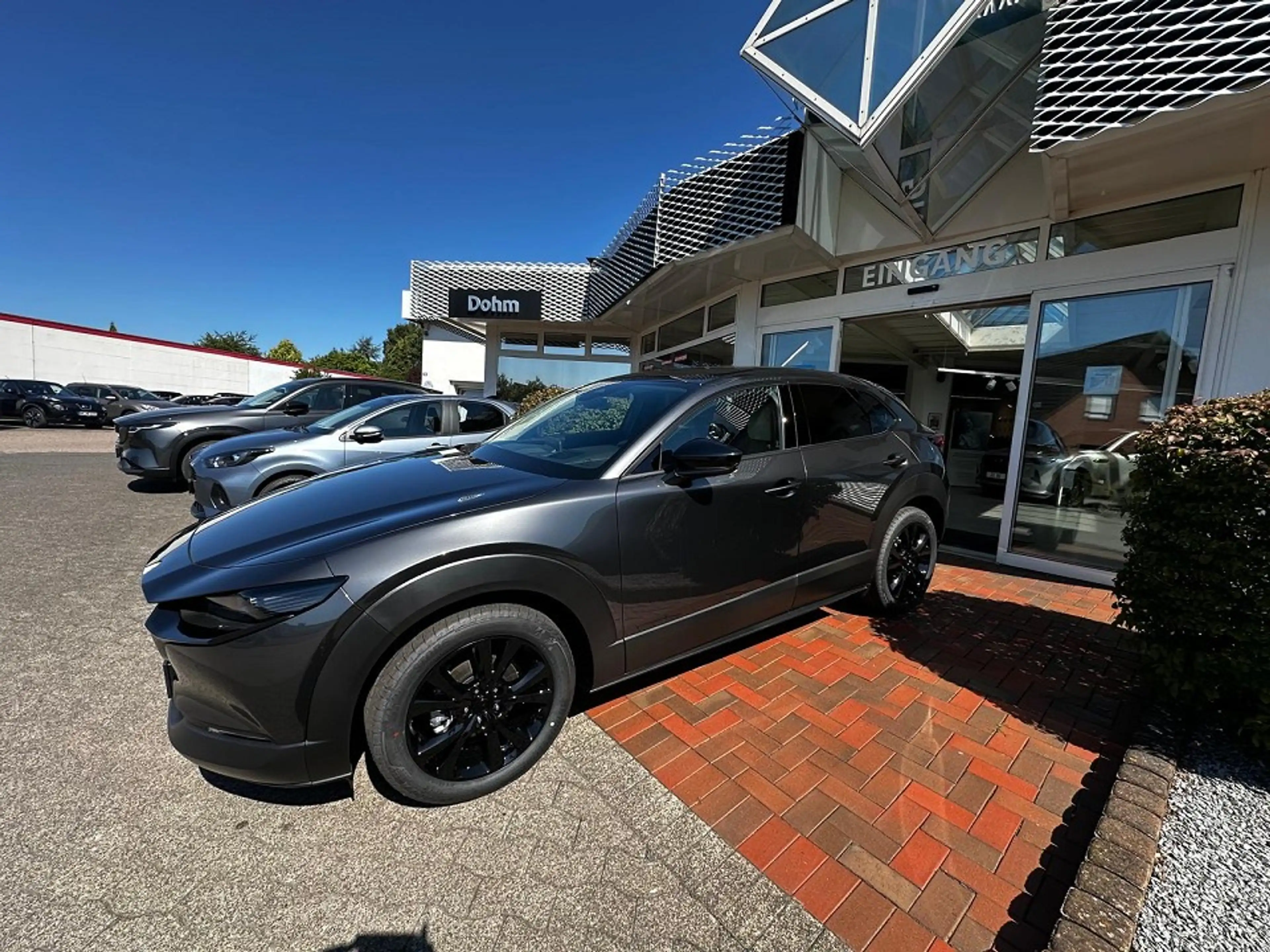 Mazda CX-30 2.5L e-SKYACTIV G Makoto — photo 2