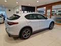 Alfa Romeo Stelvio 2.2 Turbo 210cv AT8 Q4 Tì Pelle Navi FariXeno Blis Gris - thumbnail 7