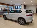 Alfa Romeo Stelvio 2.2 Turbo 210cv AT8 Q4 Tì Pelle Navi FariXeno Blis Gris - thumbnail 6
