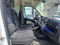 Fiat Ducato furgone 35 pm tb allestito officina mobile 2.3 mjt Blanco - thumbnail 16