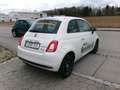 Fiat 500 Hatchback TECH + KOMFORTPAKET Bianco - thumbnail 6