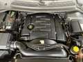 Land Rover Discovery Discovery III 2004 2.7 tdV6 HSE Bianco - thumbnail 7