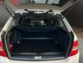 Mercedes-Benz C 200 T-Modell Blanc - thumbnail 18