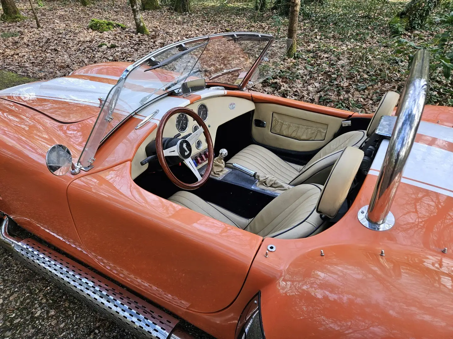 AC Cobra Portocaliu - 2