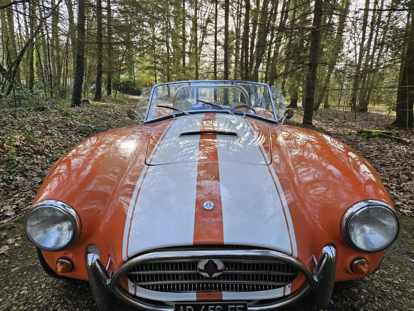AC Cobra Portocaliu - 1