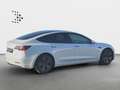 Tesla Model 3 TELSA MODEL 3 *KAM*KLIMA*NAV*SHZ*LED*STANDHEIZUN White - thumbnail 17