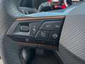 CUPRA Formentor 2.0 TDI 150 CV Automatica LED 4Drive Blu/Azzurro - thumbnail 8