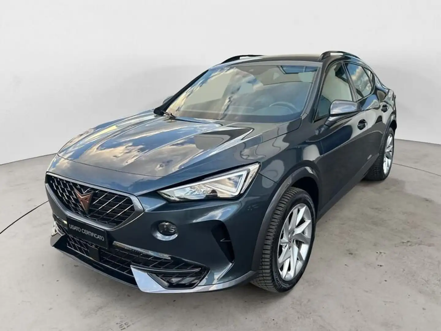 CUPRA Formentor 2.0 TDI 150 CV Automatica LED 4Drive Blu/Azzurro - 1