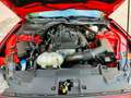 Ford Mustang Mustang Fastback 2.3 EcoBoost Rojo - thumbnail 22