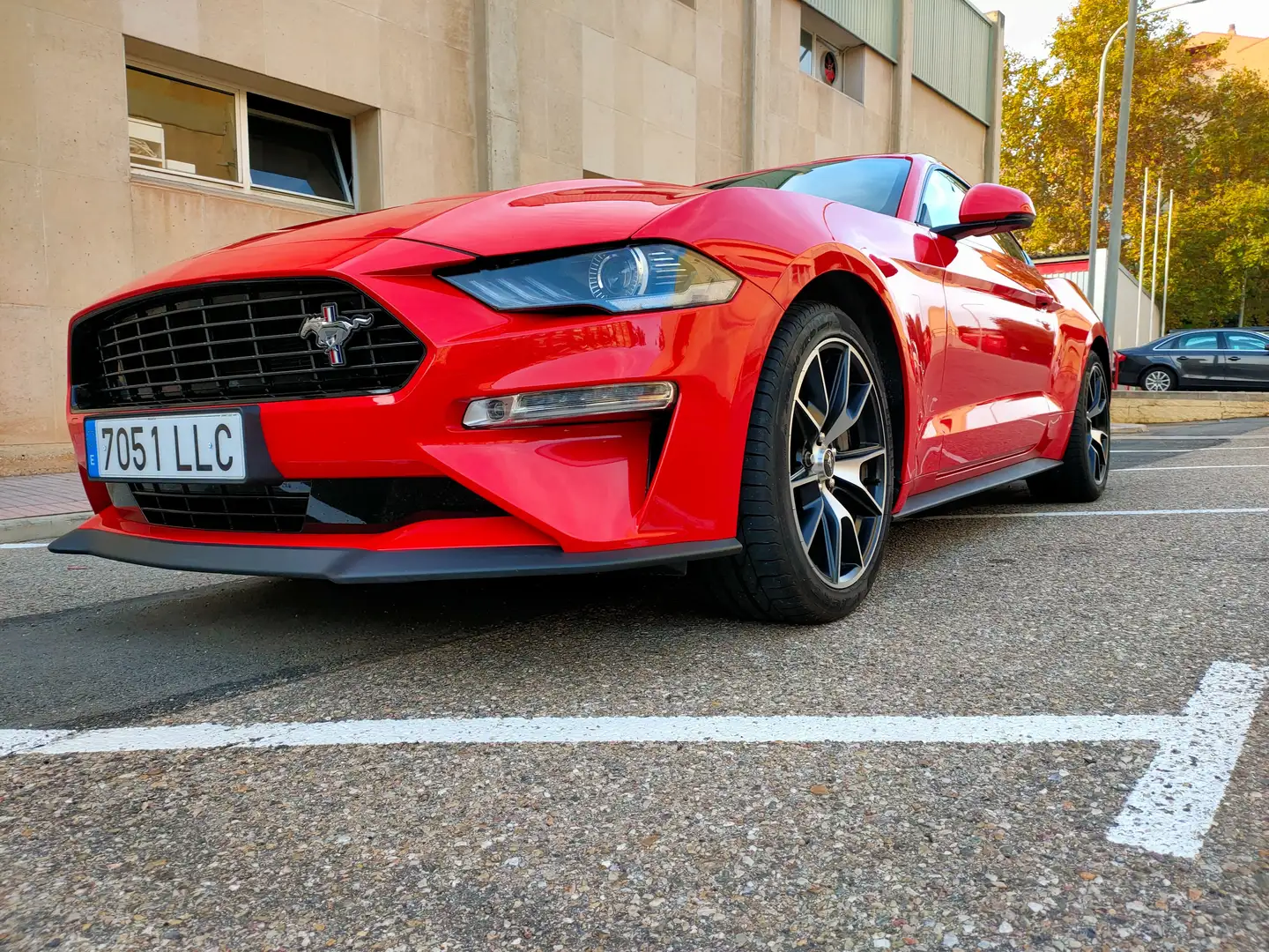Ford Mustang Mustang Fastback 2.3 EcoBoost Rojo - 2