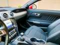 Ford Mustang Mustang Fastback 2.3 EcoBoost Rojo - thumbnail 30