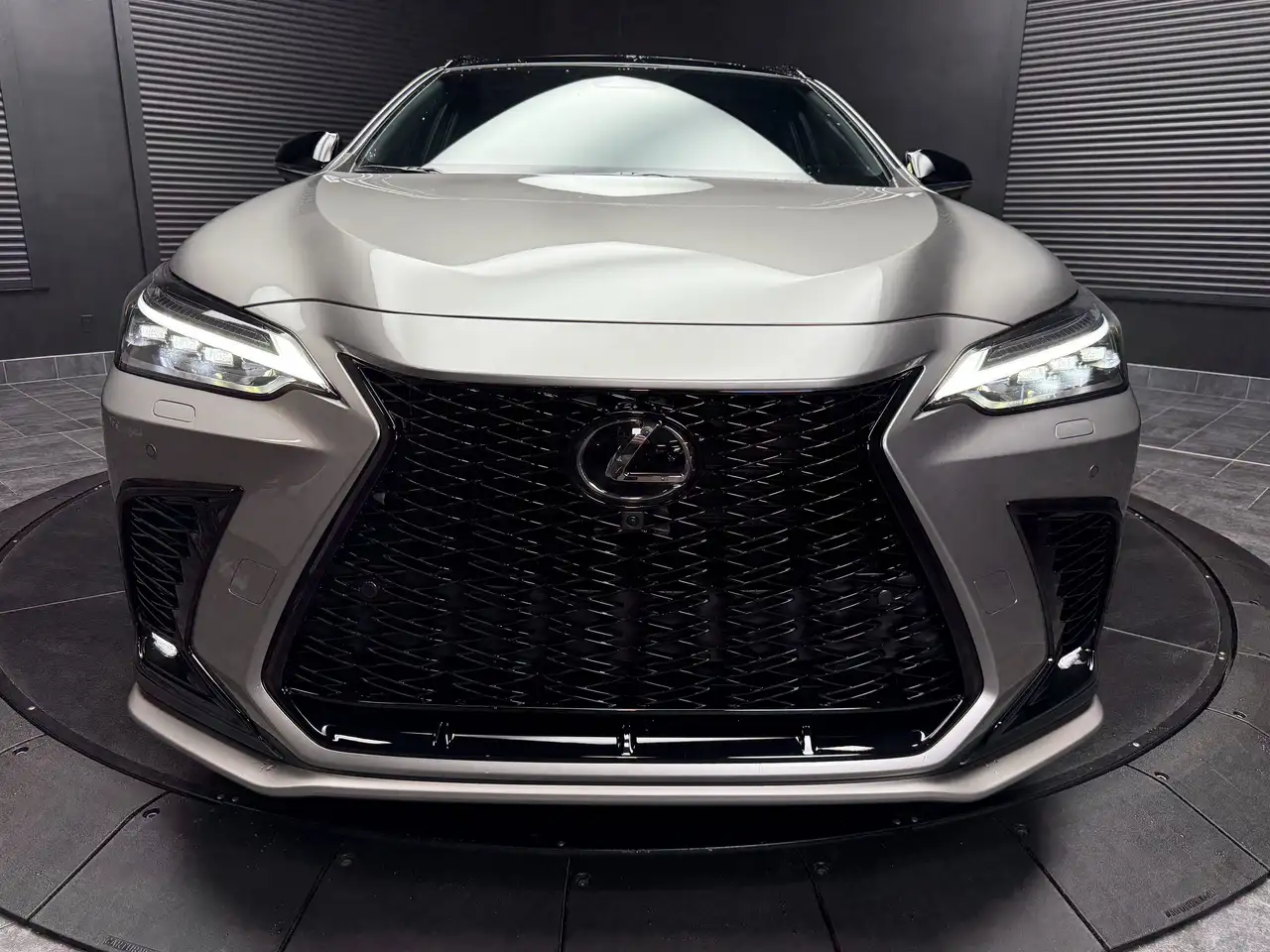 Lexus NX снимка Lexus NX