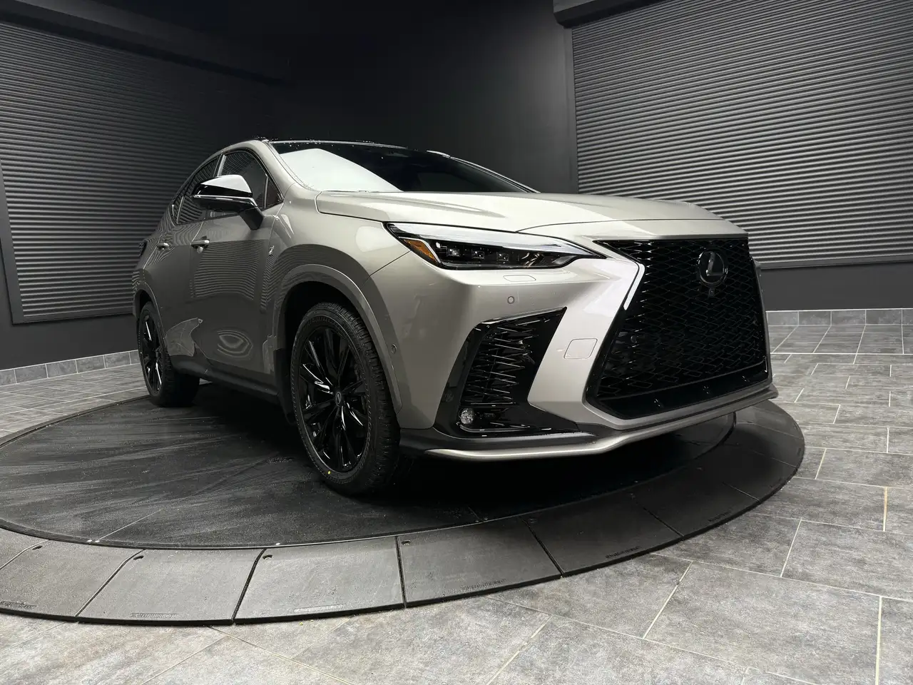 Lexus NX снимка Lexus NX