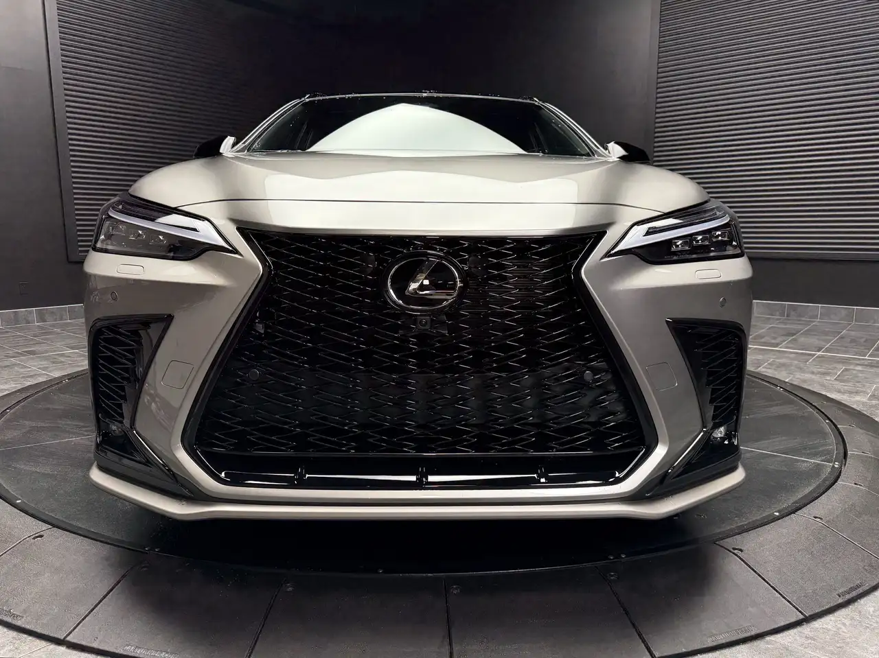 Lexus NX снимка Lexus NX