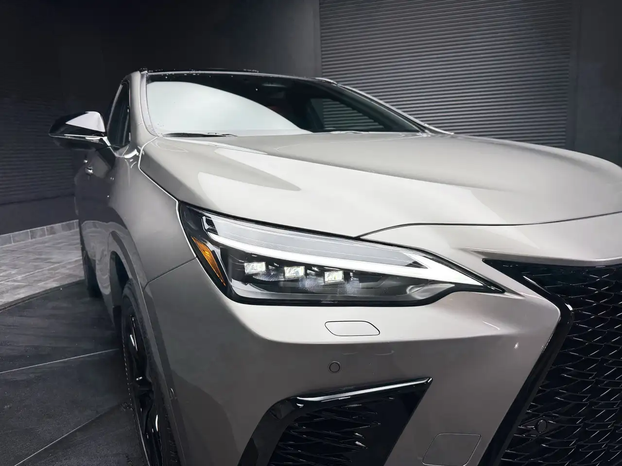 Lexus NX снимка Lexus NX
