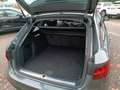 Audi A4 Avant 40 TDI S tronic S line edition Grigio - thumbnail 11