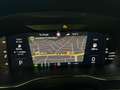 Skoda Superb Combi 2.0 TDI Sportline 4x4 +Pano+STHZ+360+AHK+ACC Blau - thumbnail 10