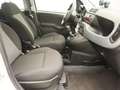 Fiat Panda 1.0 Hybrid City Cross | Airco | Parkeersensoren Weiß - thumbnail 22