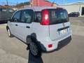 Fiat Panda Panda III 2021 1.0 firefly hybrid City Life s Grigio - thumbnail 3
